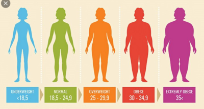 Handling Your Obesity: Methods of Obtaining Greater Health