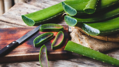 Aloe Vera – Reviews, Benefits, Use and Side Effects? Read More